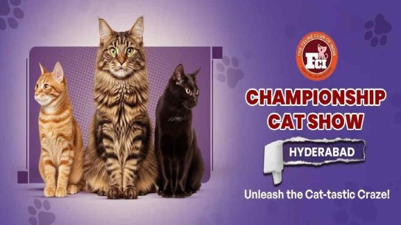 Cat Show 2025 in Hyderabad: All About the Mega Pet Event