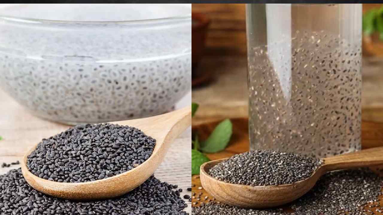 Chia Seeds vs Sabja Seeds: Which is Better for Weight Loss?
