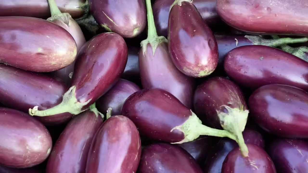 Top 5 Brinjal Health Risks You Should Know