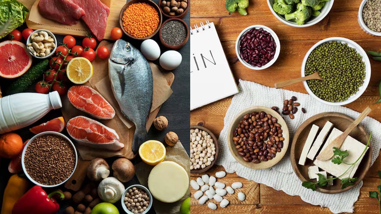 Is Plant Protein Better than Animal Protein?