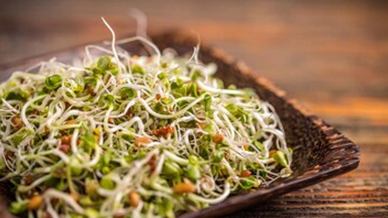 Steamed Sprouts Vs Raw Sprouts: Which is Healthier?