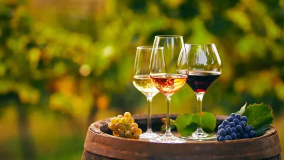Wine Tourism Near Hyderabad: Top 5 Vineyards Worth Visiting