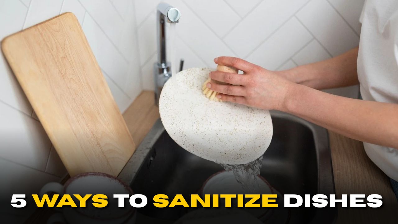 5 Effective Ways to Sanitize Dishes During Washing