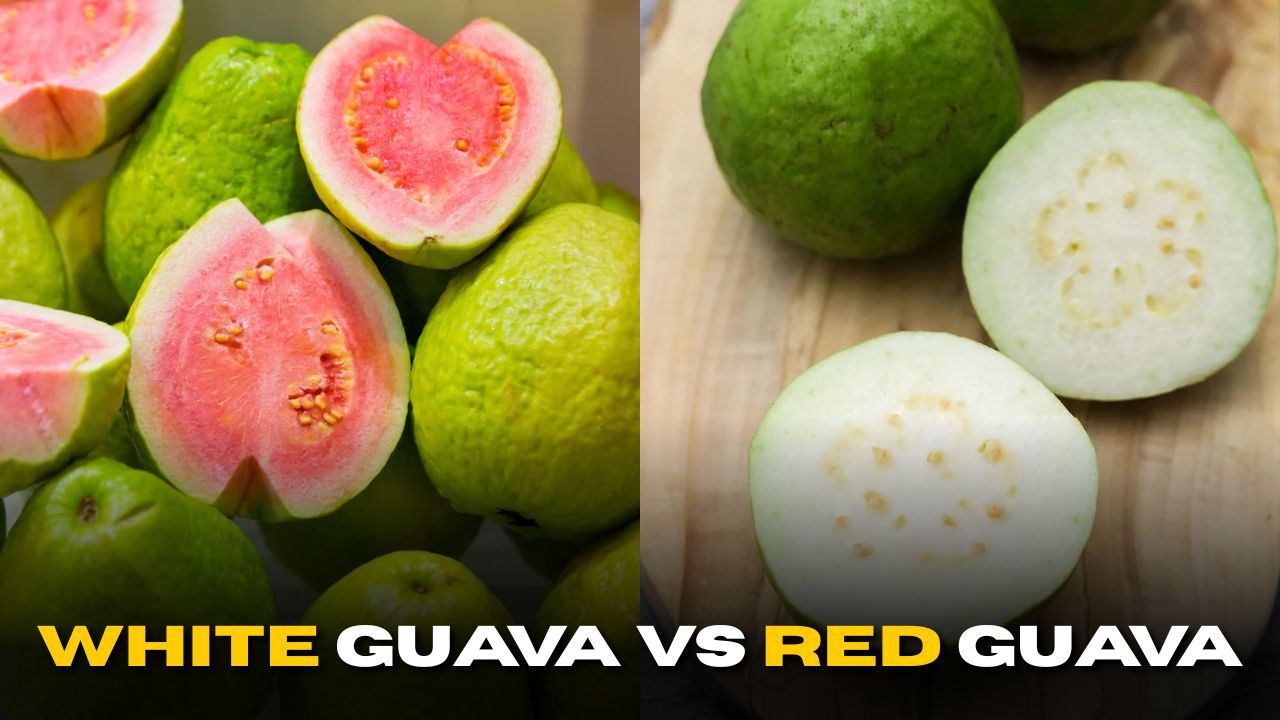 White Guava vs Red Guava: Which One Is Healthier?