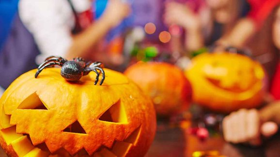 7 Best Horror Movies to Watch on OTT This Halloween 2025