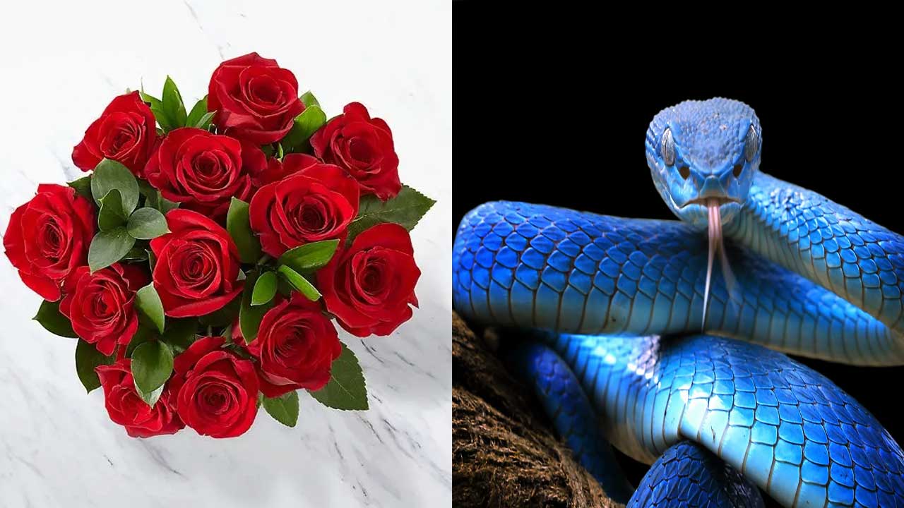 Be like a flower outside but a snake within: Shakespeare’s Powerful Life Lessons For You