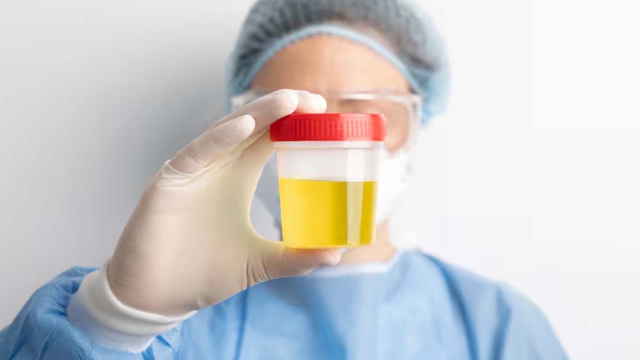Too Much Foam in Urine? Here’s What It Really Means Too Much Foam in Urine? Here’s What It Really Means