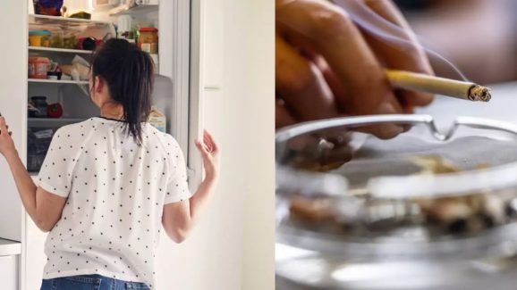 Fridge Cigarette Trend Explained