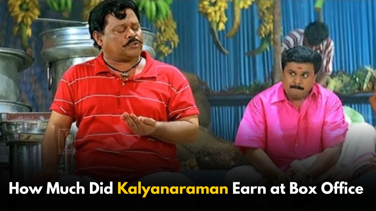 How Much Did Kalyanaraman Earn at the Box Office in 2002?