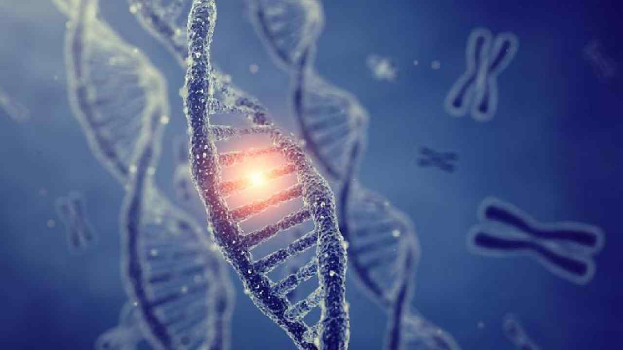 Genetic Cholesterol Risk: Why Everyone Should Get Tested
