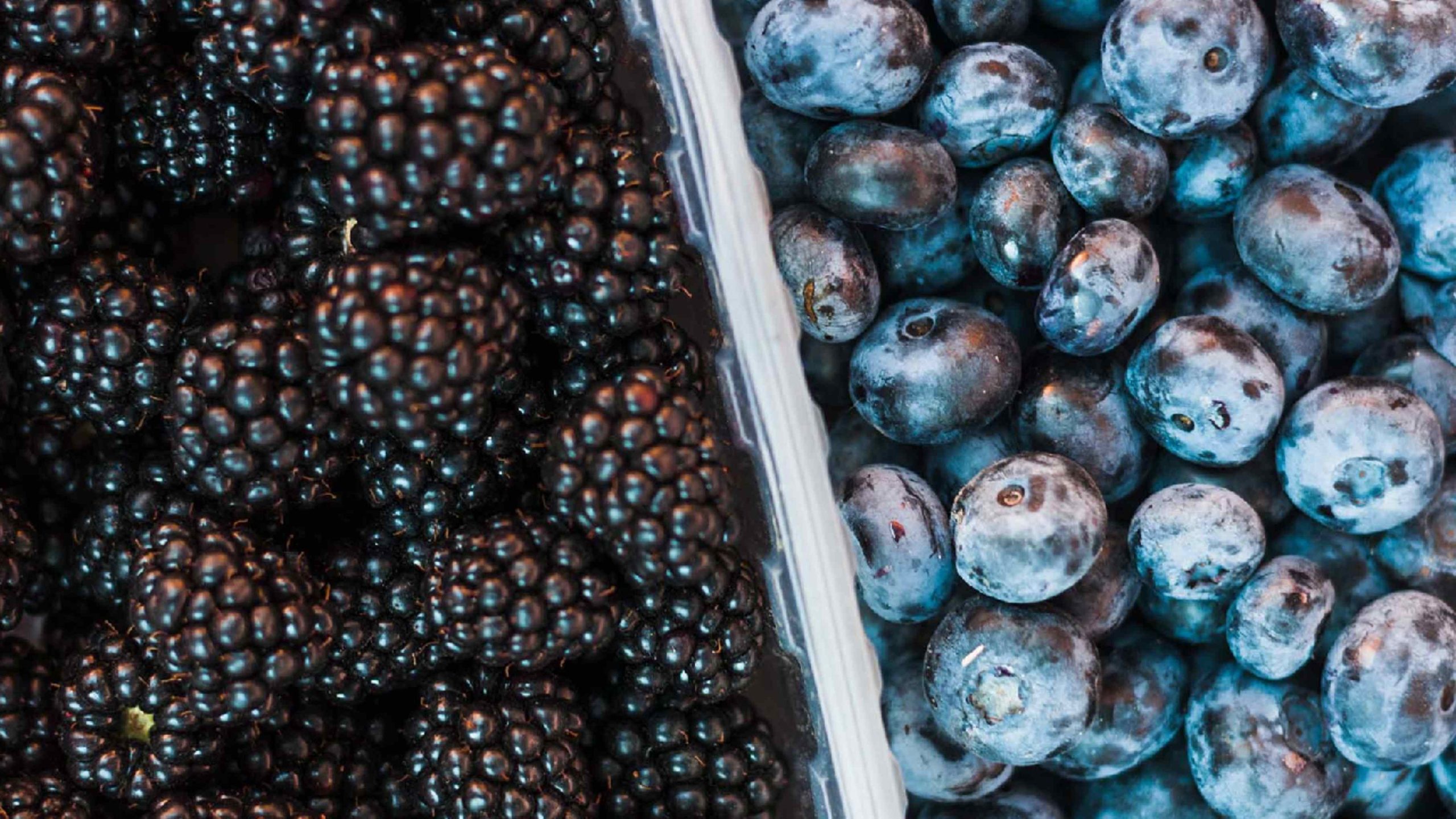 Blueberry vs Blackberry: Which is Healthier for Weight Loss ?