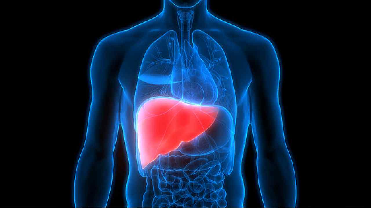 Fatty Liver Symptoms And Warning Signs Explained by Harvard Doctor