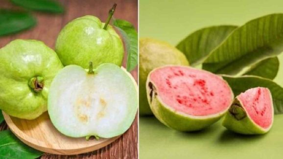 Pink Guava vs White Guava: Which is Better for Diabetics?