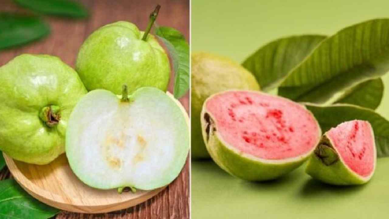 Pink Guava vs White Guava: Which is Better for Diabetics? Pink Guava vs White Guava: Which is Better for Diabetics?