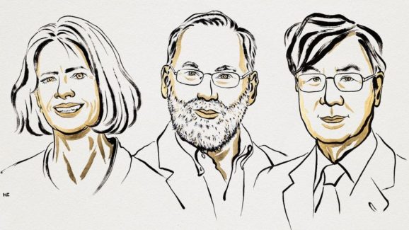 Nobel Prize 2025 in Medicine: Winners’ Background and Achievements