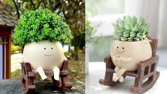 Indoor Plants vs Outdoor Plants: Which Are Easier to Maintain?