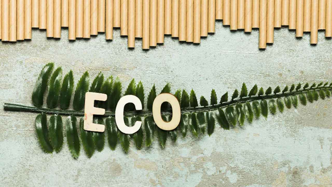 Top 5 Eco-Friendly Indian Labels to Shop From This Festive Season