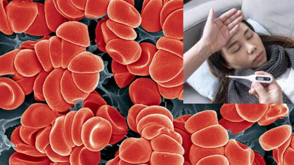 Low Platelets? These Foods Can Be Dangerous, Beware