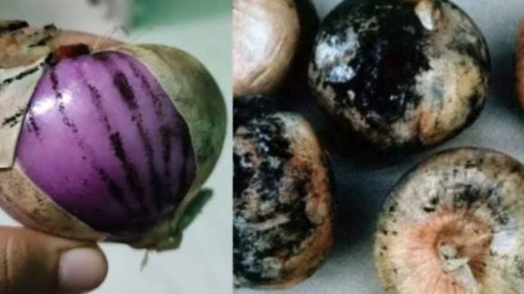 Why You Should Never Eat Onions with Black Spots