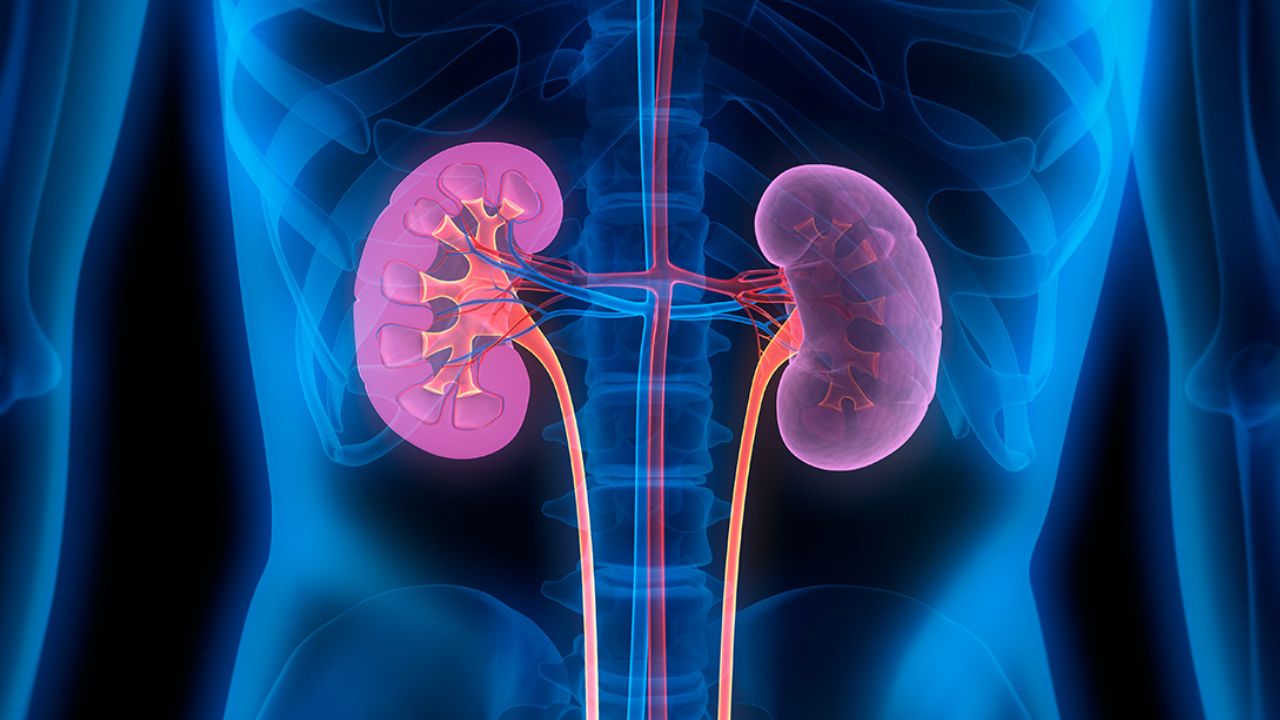 Can a Person Live If Both Kidneys Fail? Experts Explain Can a Person Live If Both Kidneys Fail? Experts Explain