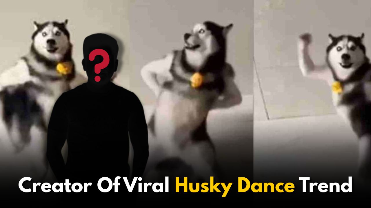 Meet the Creator Behind Instagram’s Viral Husky Dance Trend Meet the Creator Behind Instagram’s Viral Husky Dance Trend