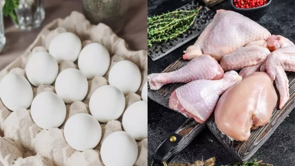 Chicken vs Eggs for Weight Loss: Which Gives Better Results?