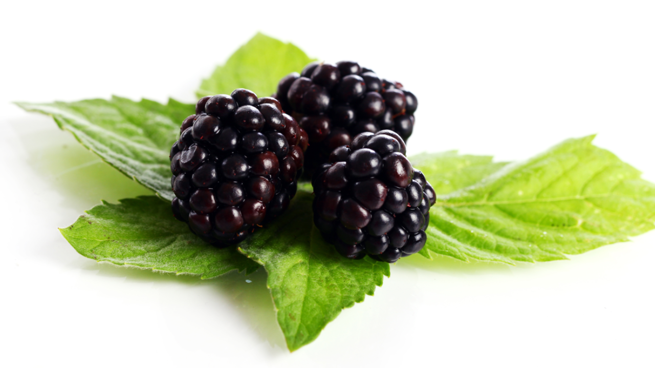Mulberry Health Benefits: The Power Fruit That Fights Cancer and Boosts Immunity