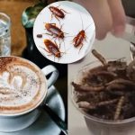 Cockroach Coffee: Would You Dare to Try It?