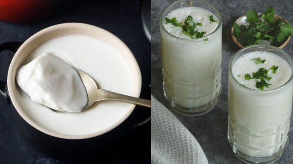 Curd vs Buttermilk: Which Is Better for Gut Health During Winter?