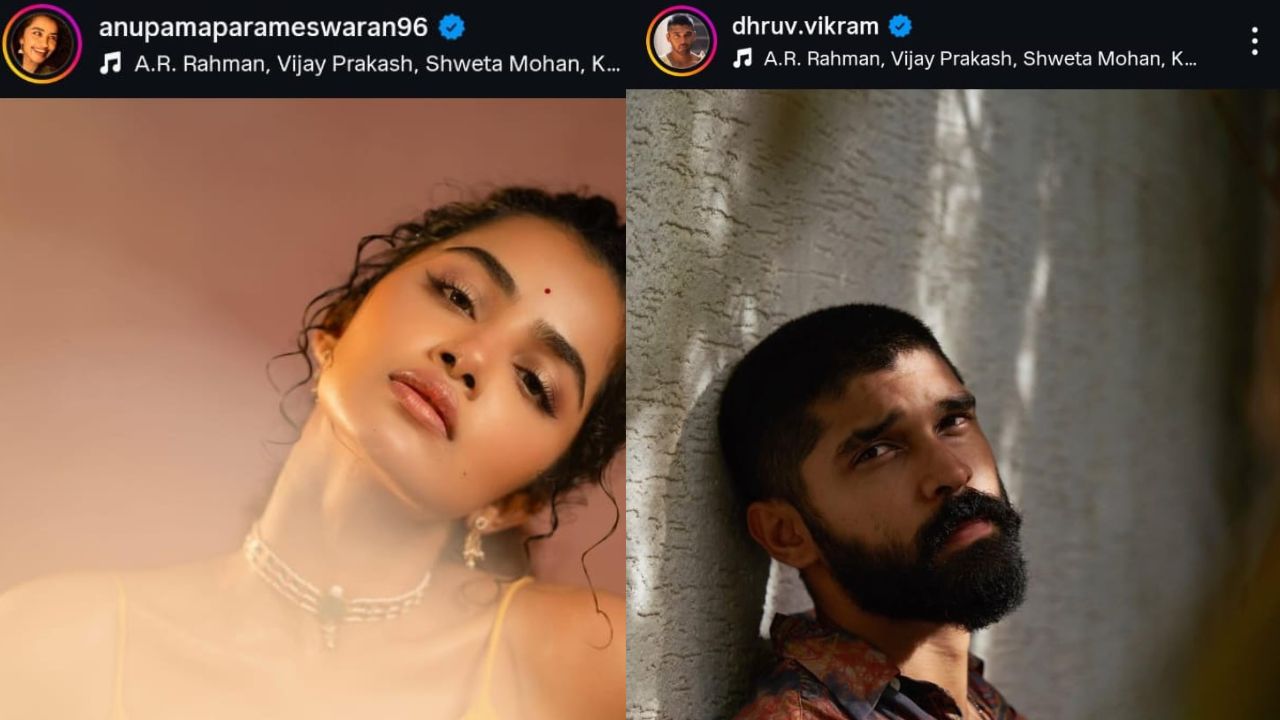 Matching Insta Posts Intensify Dhruv– Anupama Dating Rumours