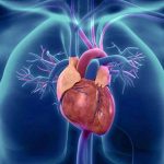 Top 7 Simple Daily Habits to Prevent Heart Blockage