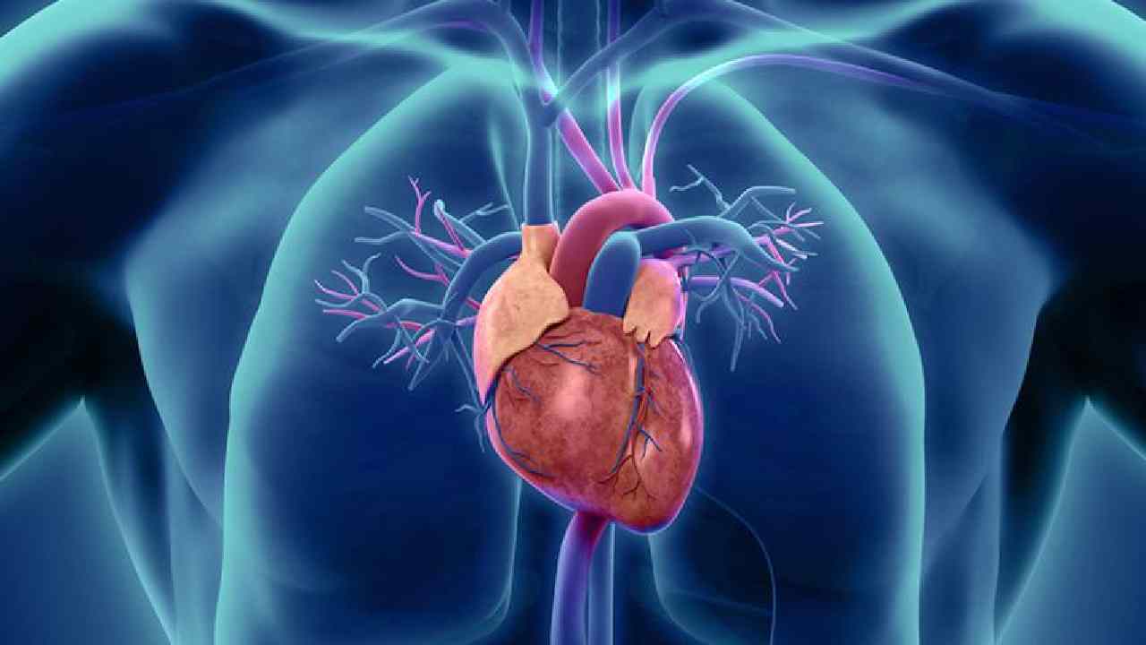 Top 7 Simple Daily Habits to Prevent Heart Blockage