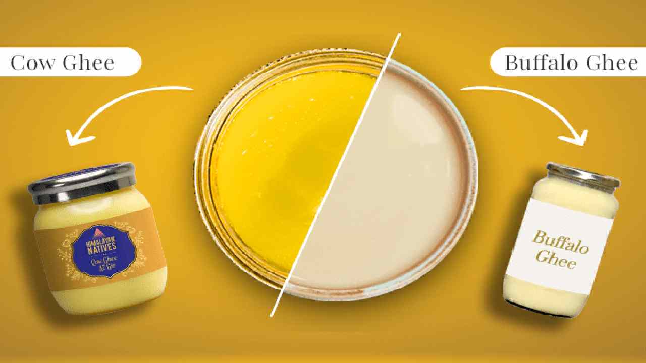 Cow Ghee vs Buffalo Ghee: Which One Is Healthier for You?