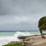 Cyclone Alert in Andhra Pradesh: Heavy Rains Likely From November 26