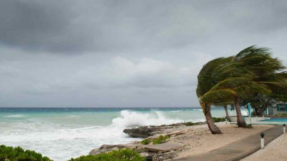 Cyclone Alert in Andhra Pradesh: Heavy Rains Likely From November 26