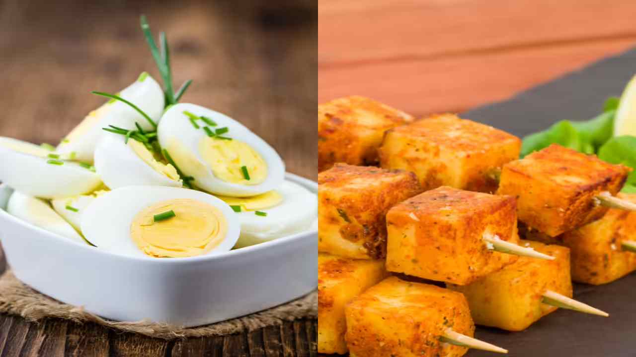 Egg vs Paneer vs Soya: Which Food Highest Protein for Weight Loss?