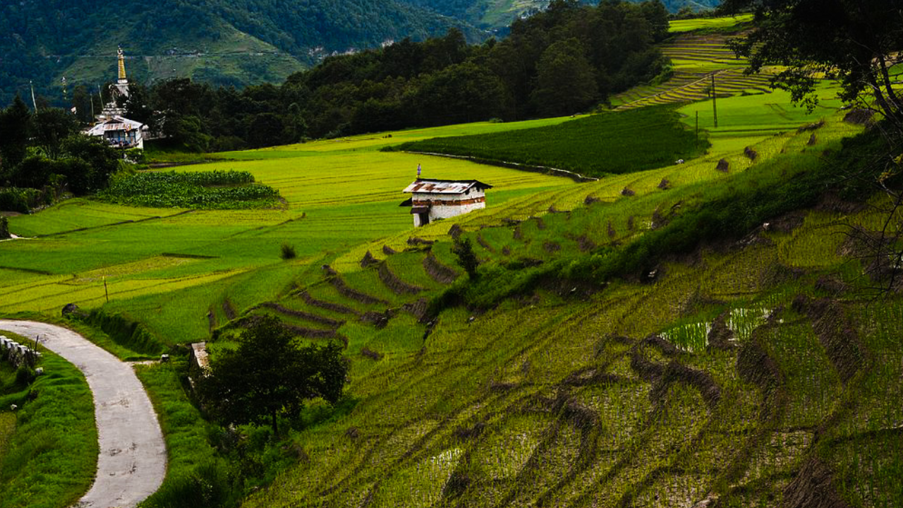 Top 10 Hidden Gems in India You Should Visit Before They Go Viral