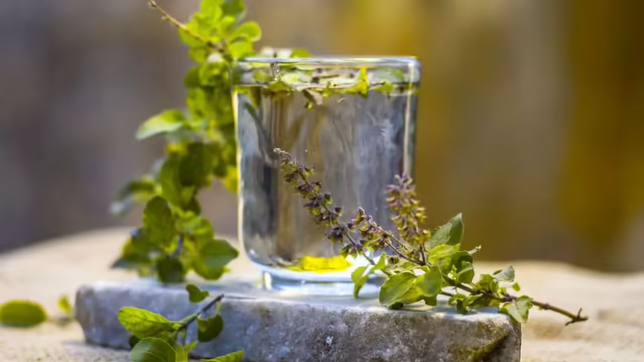 Why You Should Drink Tulsi Water: 10 Powerful Health Benefits