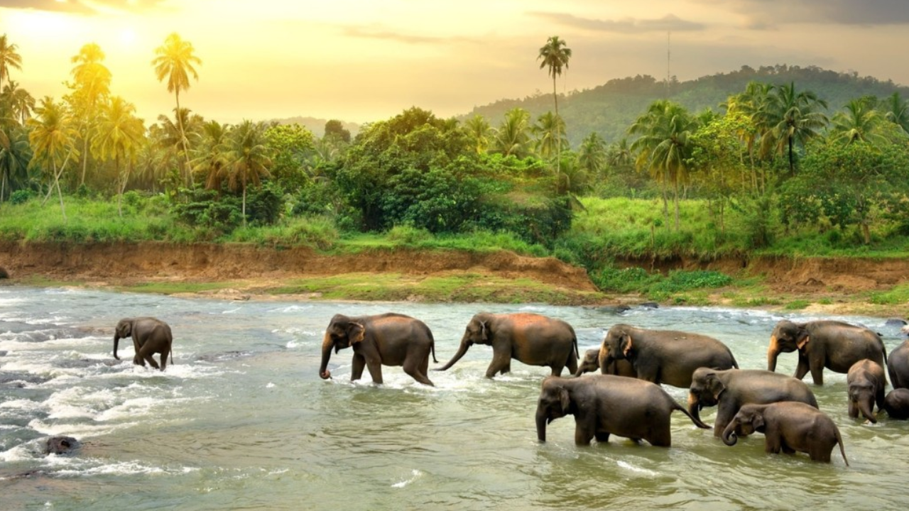 Top 5 Winter Getaways Near Hyderabad You Must Visit