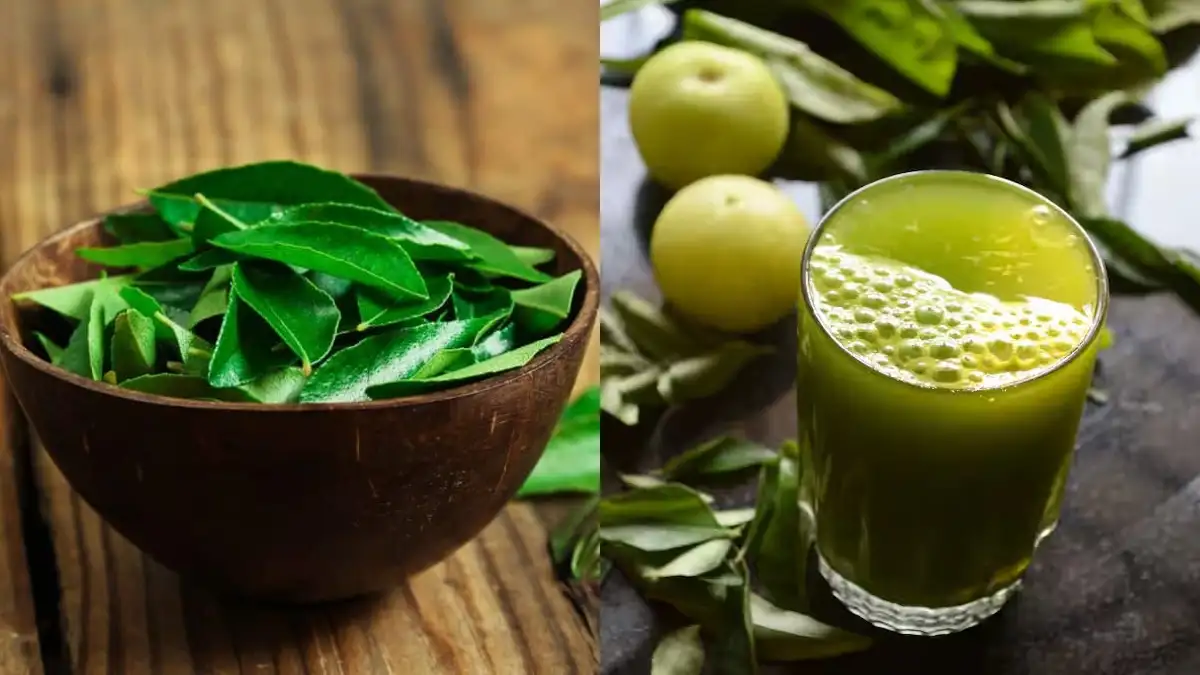 Top 5 Health Benefits of Drinking Curry Leaves Juice on Empty Stomach