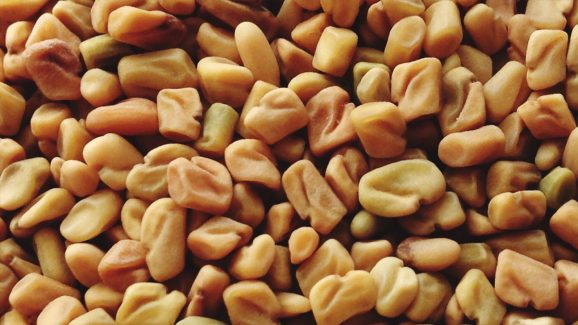 Hair Boost Remedy: Simple Fenugreek Oil Mix for Thick Hair Growth