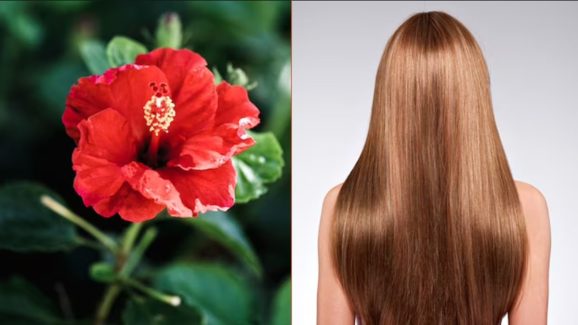 5 Powerful Dried Hibiscus Hair Mask Ideas for Faster Hair Growth
