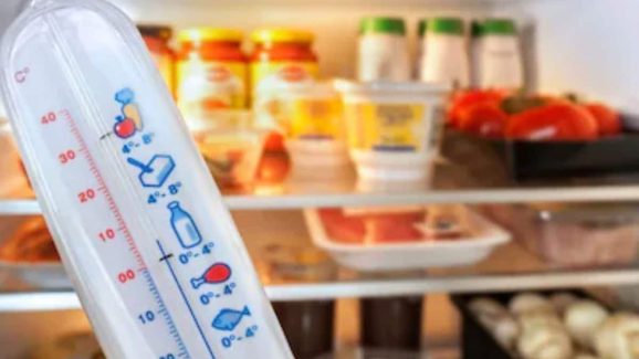 Fridge Temperature in Winter: Best Setting to Keep Food Fresh