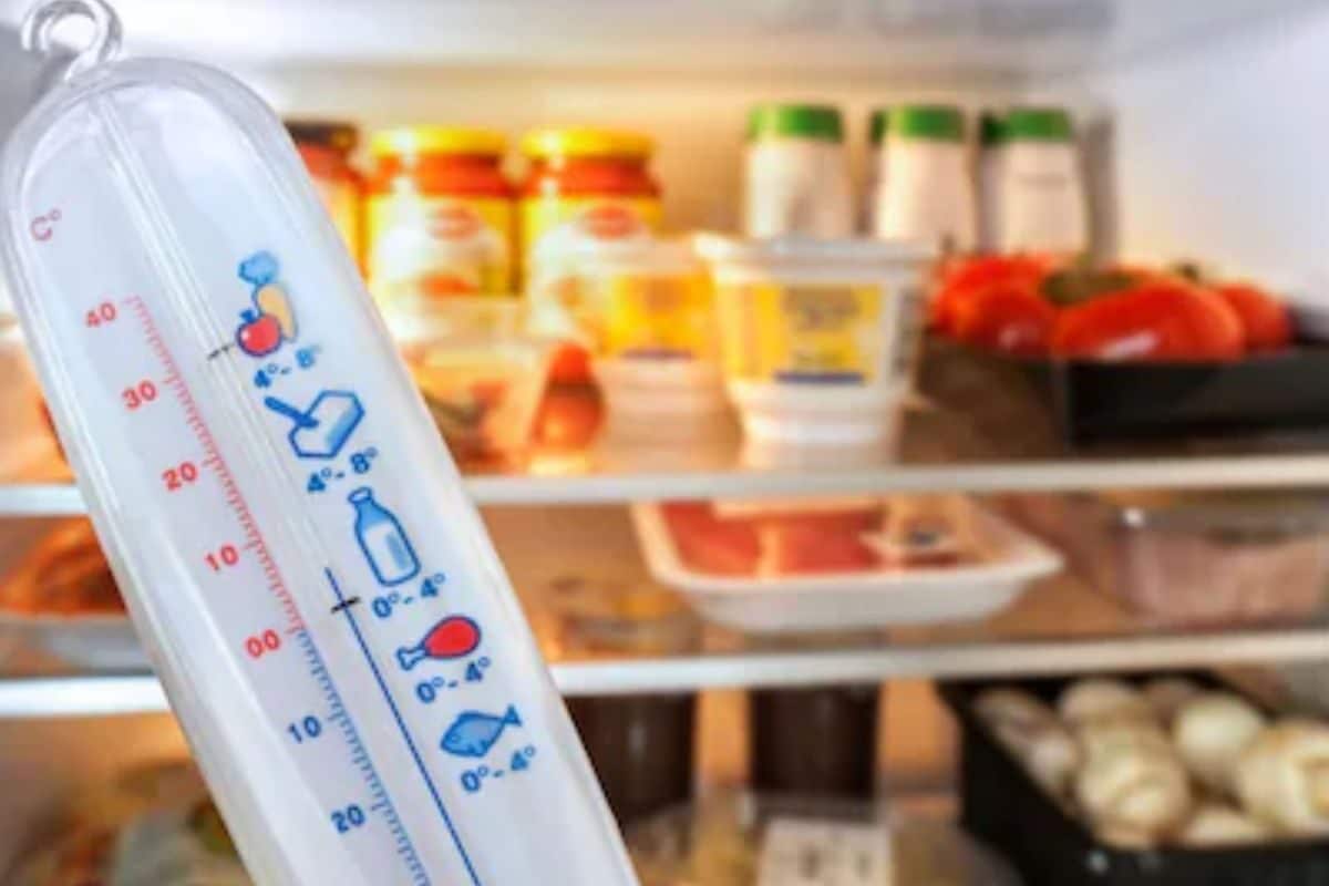 Fridge Temperature in Winter: Best Setting to Keep Food Fresh