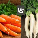 Carrot vs Radish: Which One Benefits Your Health More?