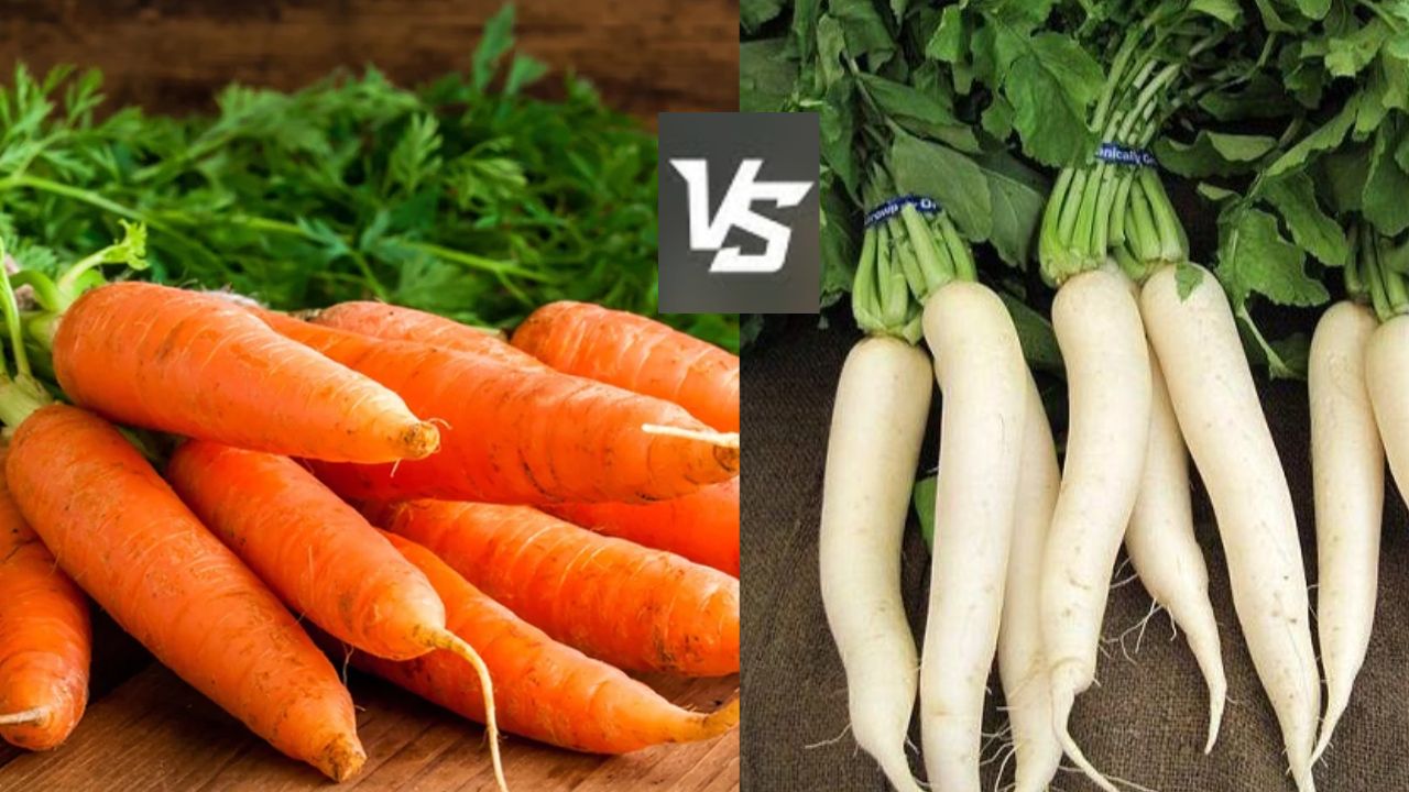 Carrot vs Radish: Which One Benefits Your Health More?
