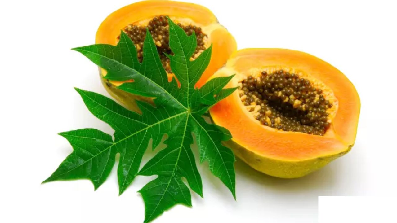 Papaya Leaves Can Cure Serious Health Problems – Know How To Consume Them