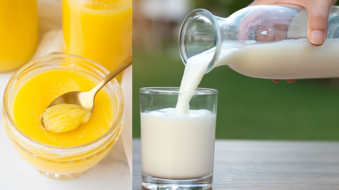 Drink Milk with Ghee Every Night-Know Why It’s a Health Elixir!