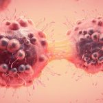 Follow These 6 Daily Habits to Reduce Cancer Danger