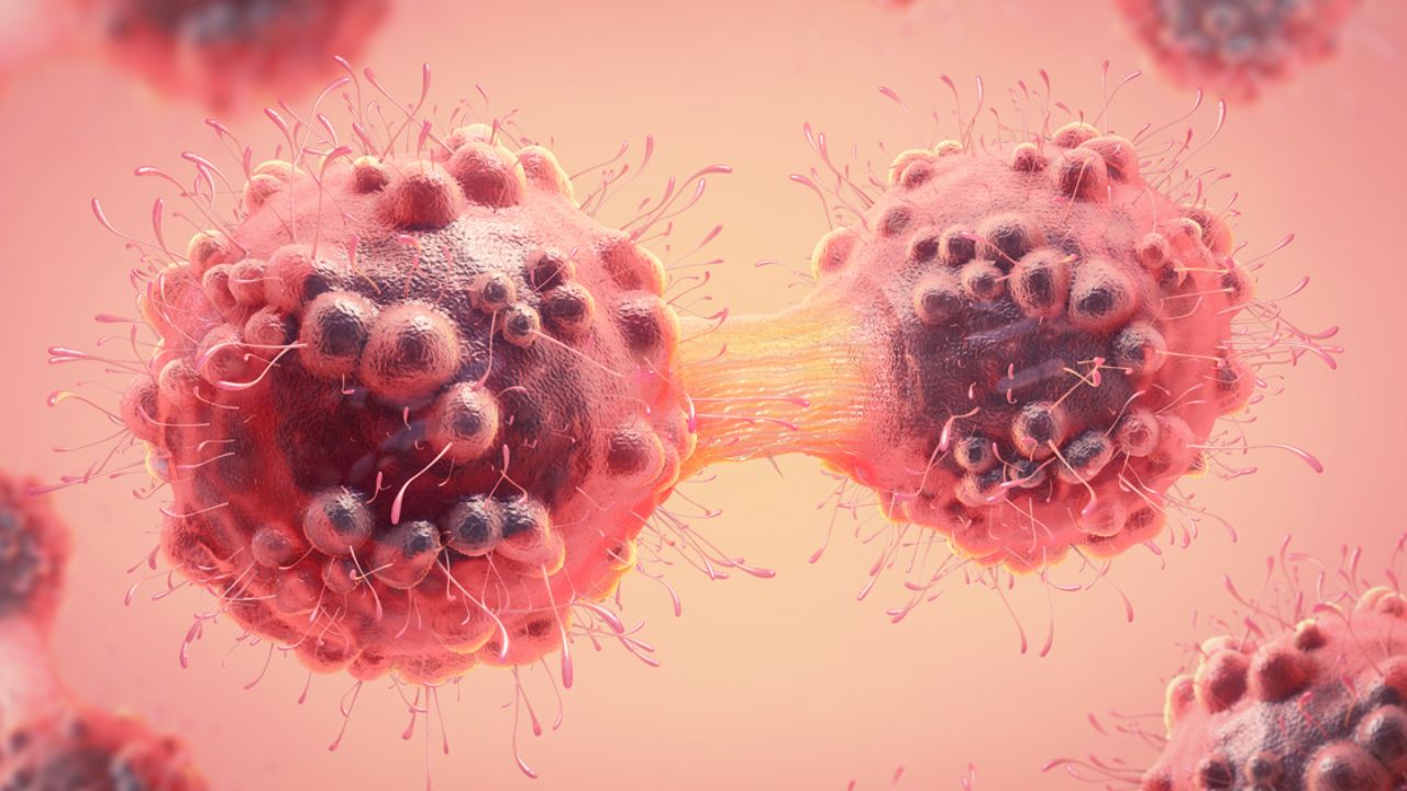 Follow These 6 Daily Habits to Reduce Cancer Danger